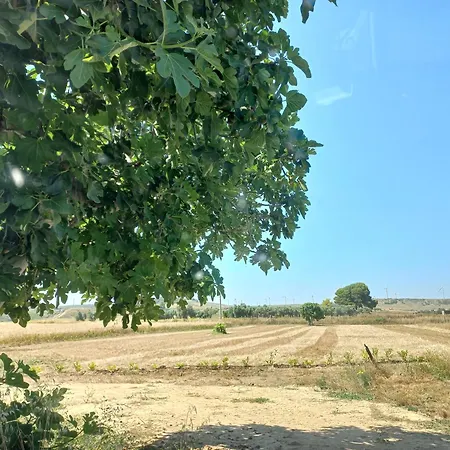 Principino, Mare E Cucina *